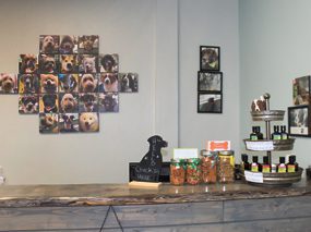 Dirty Dog Depot | Tega Cay, SC | inside store